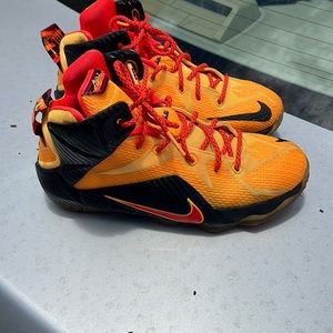 Lebron James Nike Basketball Shoes